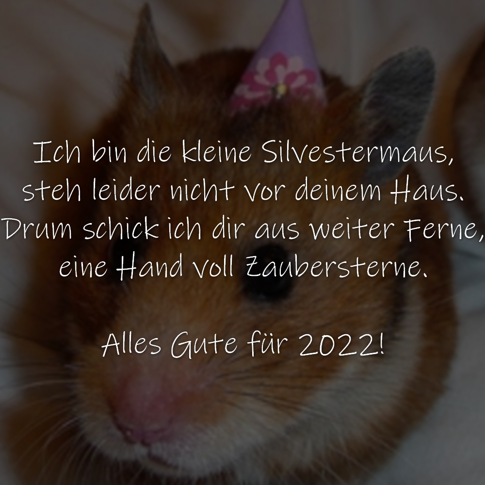 Ich bin die kleine Silvestermaus, steh leider nicht vor deinem Haus. Drum schick ich dir aus weiter Ferne, eine Hand voll Zaubersterne. Alles Gute für 2022!