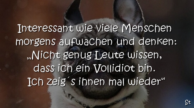 Interessant wie viele Menschen morgens aufwachen und denken:
"Nicht genug Leute wissen, dass ich ein Vollidiot bin. Ich zeig´s ihnen mal wieder"