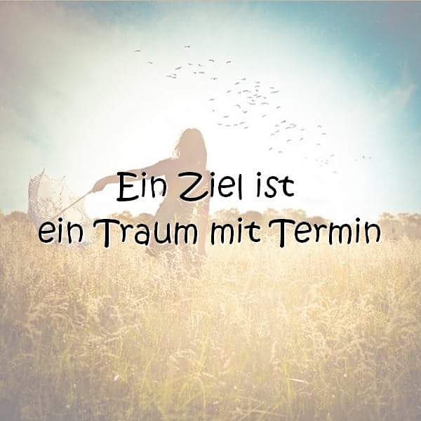 Ein Ziel ist ein Traum mit Termin ...