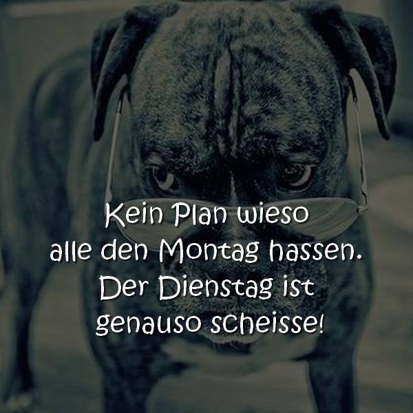 Kein Plan wieso alle den Montag hassen. Der Dienstag ist genauso scheisse!