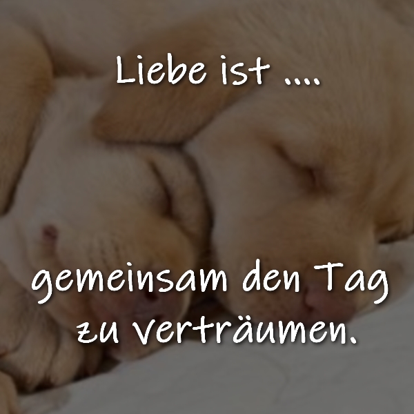 Liebe ist ... gemeinsam den Tag zu verträumen.