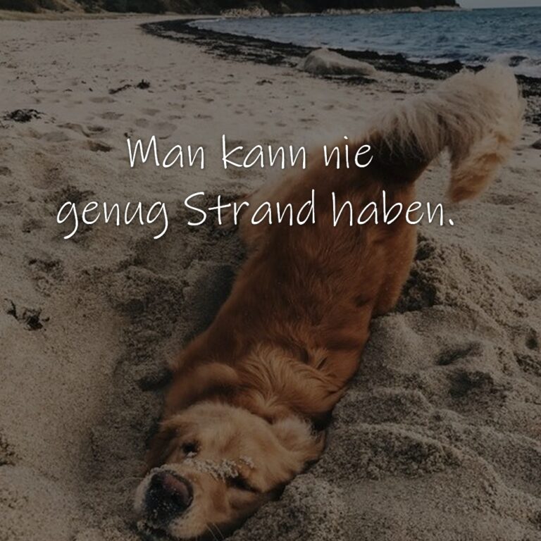 Urlaub bin dann mal weg, Urlaubssprüche, Urlaubsgedichte, lustige