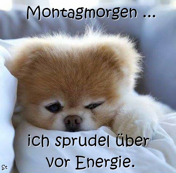 Montagmorgen, ich sprudel über vor Energie.