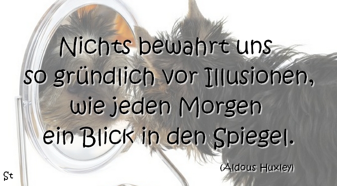 Nichts bewahrt uns so gründlich vor Illusionen,
wie jeden Morgen ein Blick in den Spiegel.
Aldous Huxley