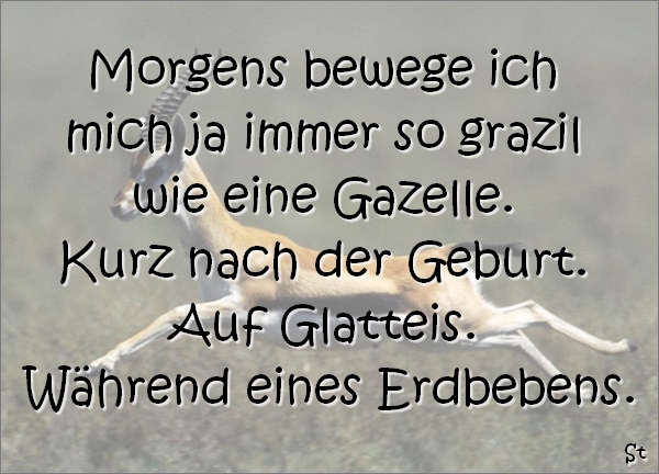 Morgens bewege ich mich ja immer so grazil wie eine Gazelle.
Kurz nach der Geburt.
Auf Glatteis.
Während eines Erdbebens.