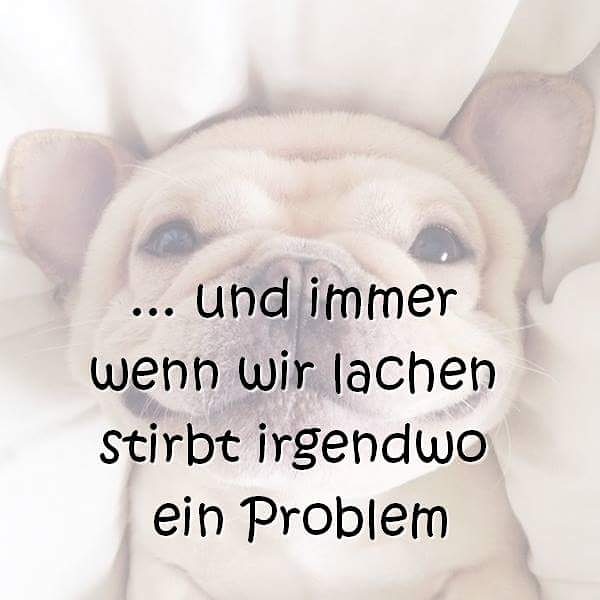 ... und immer wenn wir lachen stirbt irgendwo ein Problem