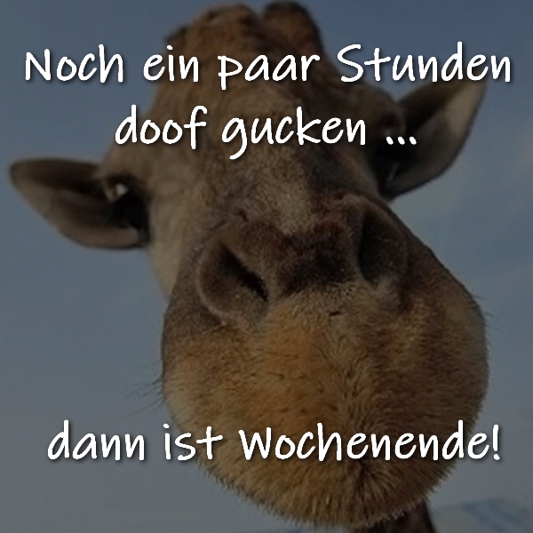 Freitag Noch ein paar Stunden doof gucken
... dann ist Wochenende!