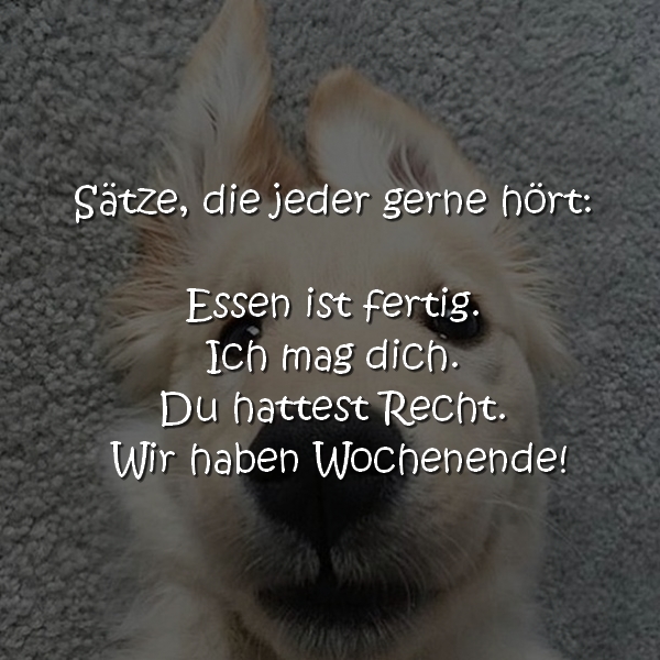 Sätze, die jeder gerne hört: Essen ist fertig. Ich mag dich. Du hattest Recht. Wir haben Wochenende!