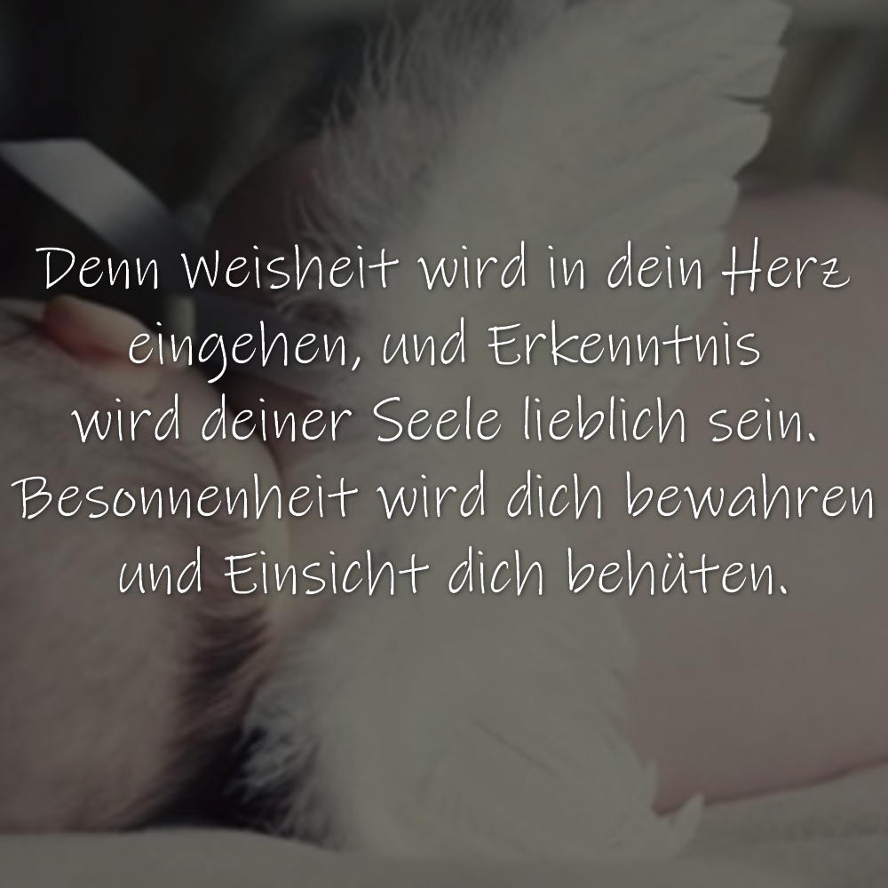 Taufspruch Denn Weisheit wird in dein Herz eingehen, und Erkenntnis wird deiner Seele lieblich sein. Besonnenheit wird dich bewahren und Einsicht dich behüten.