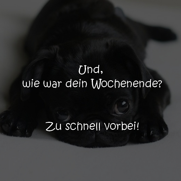 Und, wie war dein Wochenende ? Zu schnell vorbei!