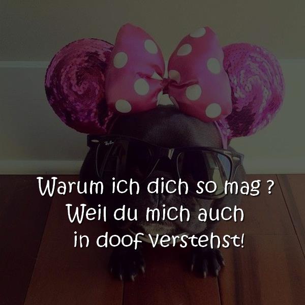 Warum ich dich so mag ? Weil du mich auch in doof verstehst ...!