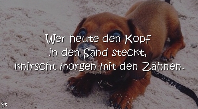 Wer heute den Kopf in den Sand steckt, knirscht morgen mit den Zähnen.

