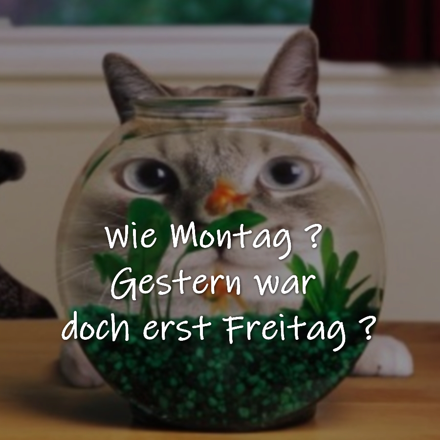  Wie Montag ? Gestern war doch erst Freitag ? 