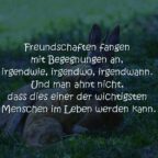 Poesiealbum Freundschaftsbuch Spruch, Freundschaftsbücher Sprüche zur