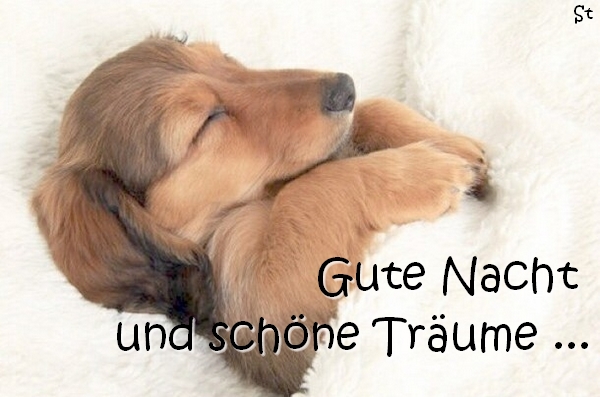 Gute Nacht | Grüße, Sprüche, Texte, kurze, Reime, Schlaf schön, Träume  Wünsche | spruechetante.de