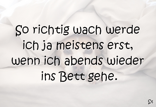 So richtig wach werde ich ja
meistens erst, wenn ich abends
wieder ins Bett gehe.