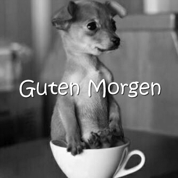 Moin Moin