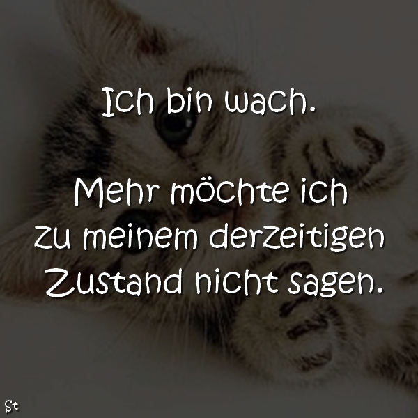 Ich bin wach. Mehr möchte ich zu meinem derzeitigen Zustand nicht sagen.