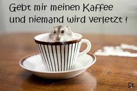 Gebt mir meinen Kaffee und niemand wird verletzt