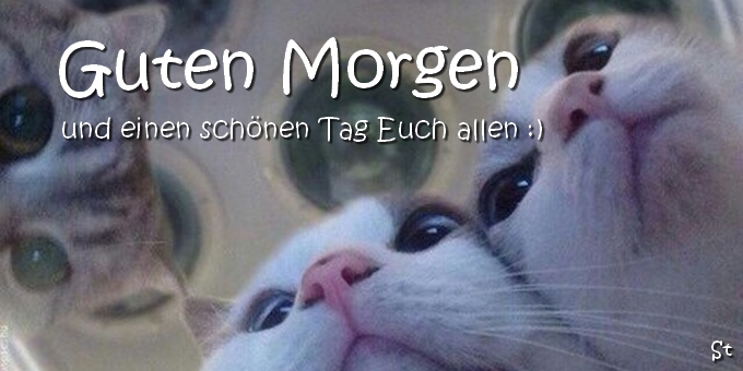 Lustiger Morgengruß: Guten Morgen und einen schönen Tag Euch allen :)