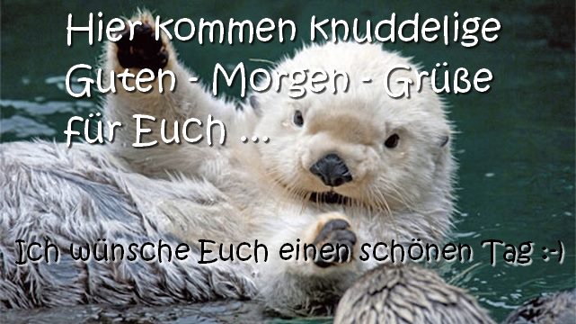 Liebe knuddelige Guten Morgengrüße