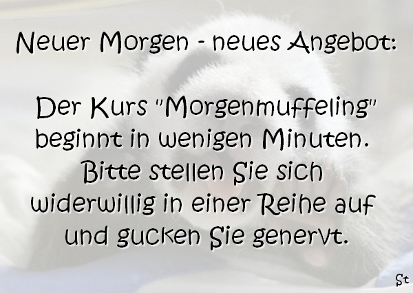 Neuer Morgen – neues Angebot:
Der Kurs „Morgenmuffeling“ beginnt in wenigen Minuten.
Bitte stellen Sie sich widerwillig in einer Reihe auf
und gucken Sie genervt.

