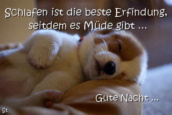 Schlafen ist die beste Erfindung, seitdem es Müde gibt ... Gute Nacht ...