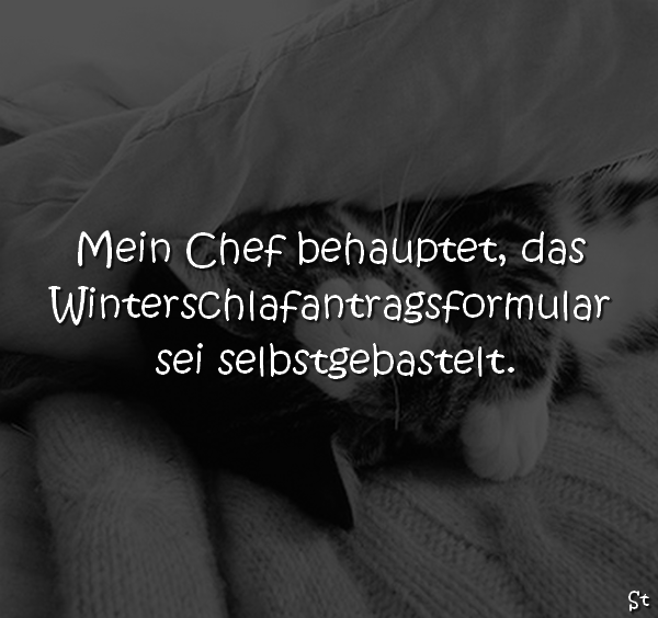 Der Chef behauptet, das Winterschlafantragsformular sei selbstgebastelt.