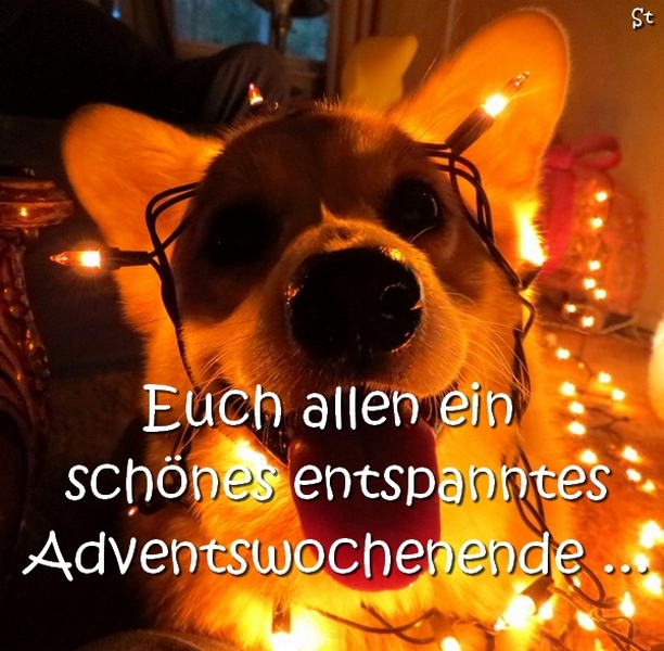 Euch allen ein schönes entspanntes Adventswochenende