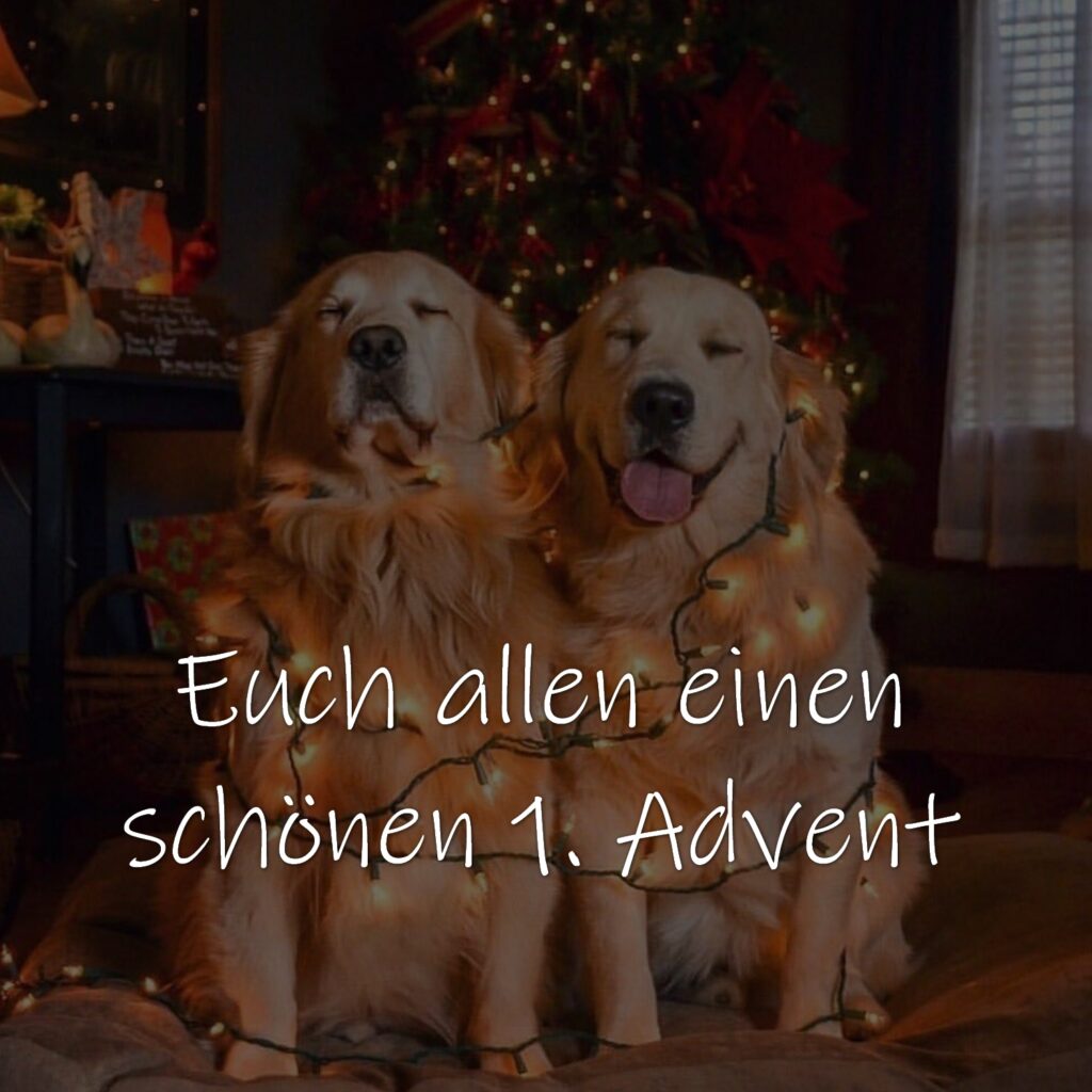 Gruß zum ersten Advent, 1. Advents Adventsgrüße
