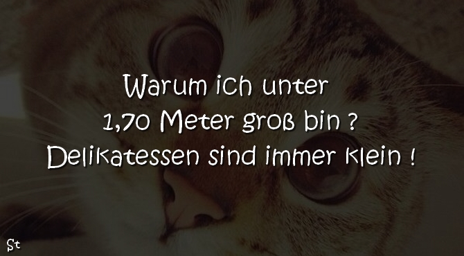 Warum ich unter 1,70 Meter groß bin ?
Delikatessen sind immer klein !