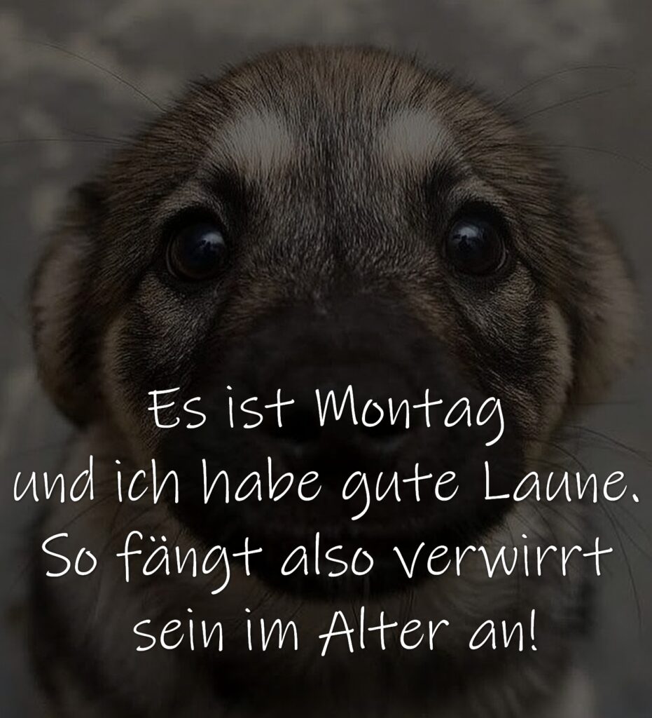 Montagsspruch Es ist Montag und ich habe gute Laune. So fängt also verwirrt sein im Alter an!