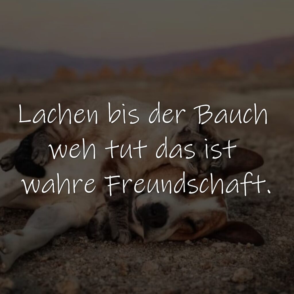 Lachen bis der Bauch weh tut das ist wahre Freundschaft.