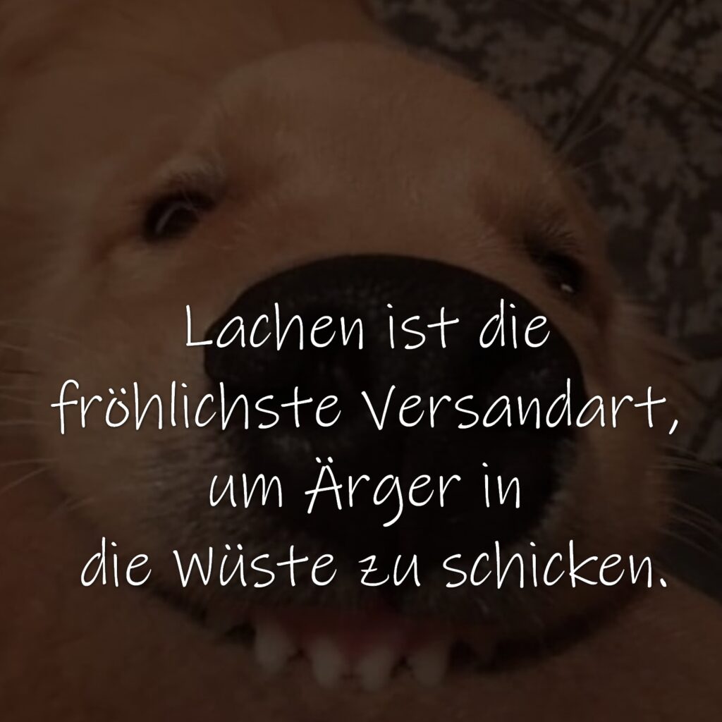 Lachen ist die fröhlichste Versandart, um Ärger in die Wüste zu schicken.