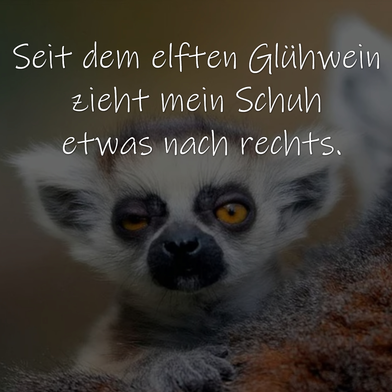 Lustige, witzige Sprüche, kurze Gedichte, u. Reime zum Schmunzeln