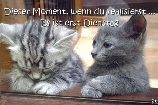 Dieser Moment, wenn du realisierst ... Es ist erst Dienstag