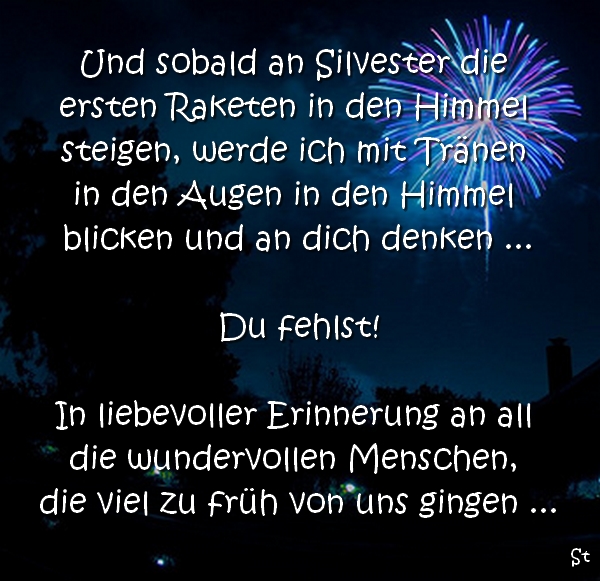 Und sobald an Silvester die ersten Raketen in den Himmel steigen, werde ich mit Tränen in den Augen in den Himmel blicken und an dich denken ... Du fehlst! In liebevoller Erinnerung an all die wundervollen Menschen, die viel zu früh von uns gingen ...