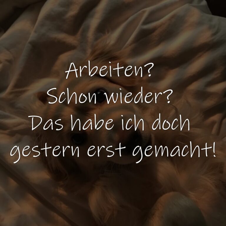 Statusmeldung Statusspruch für Facebook Twitter WhatsApp Instagram