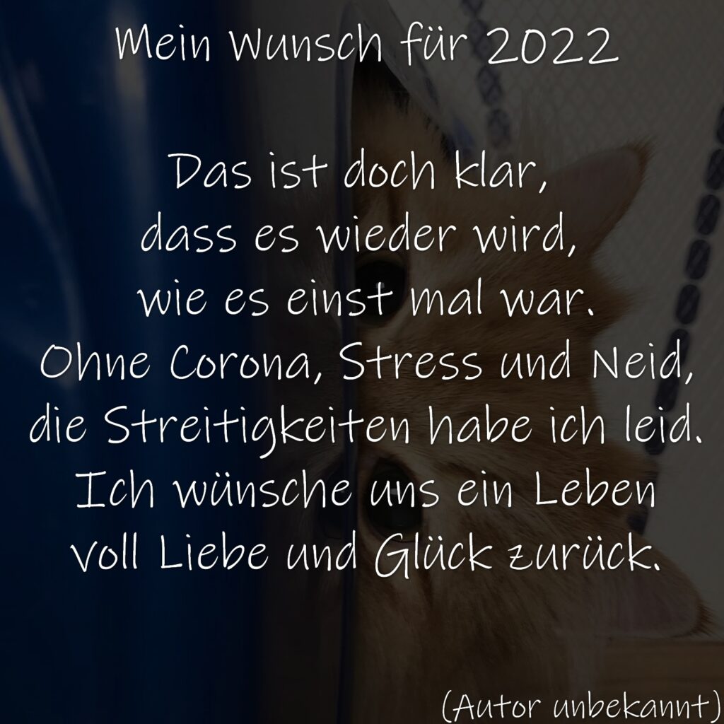 Mein Wunsch für 2022

Das ist doch klar, 
dass es wieder wird, 
wie es einst mal war.
Ohne Corona, Stress und Neid,
die Streitigkeiten habe ich leid.
Ich wünsche uns ein Leben
voll Liebe und Glück zurück.

(Autor unbekannt)