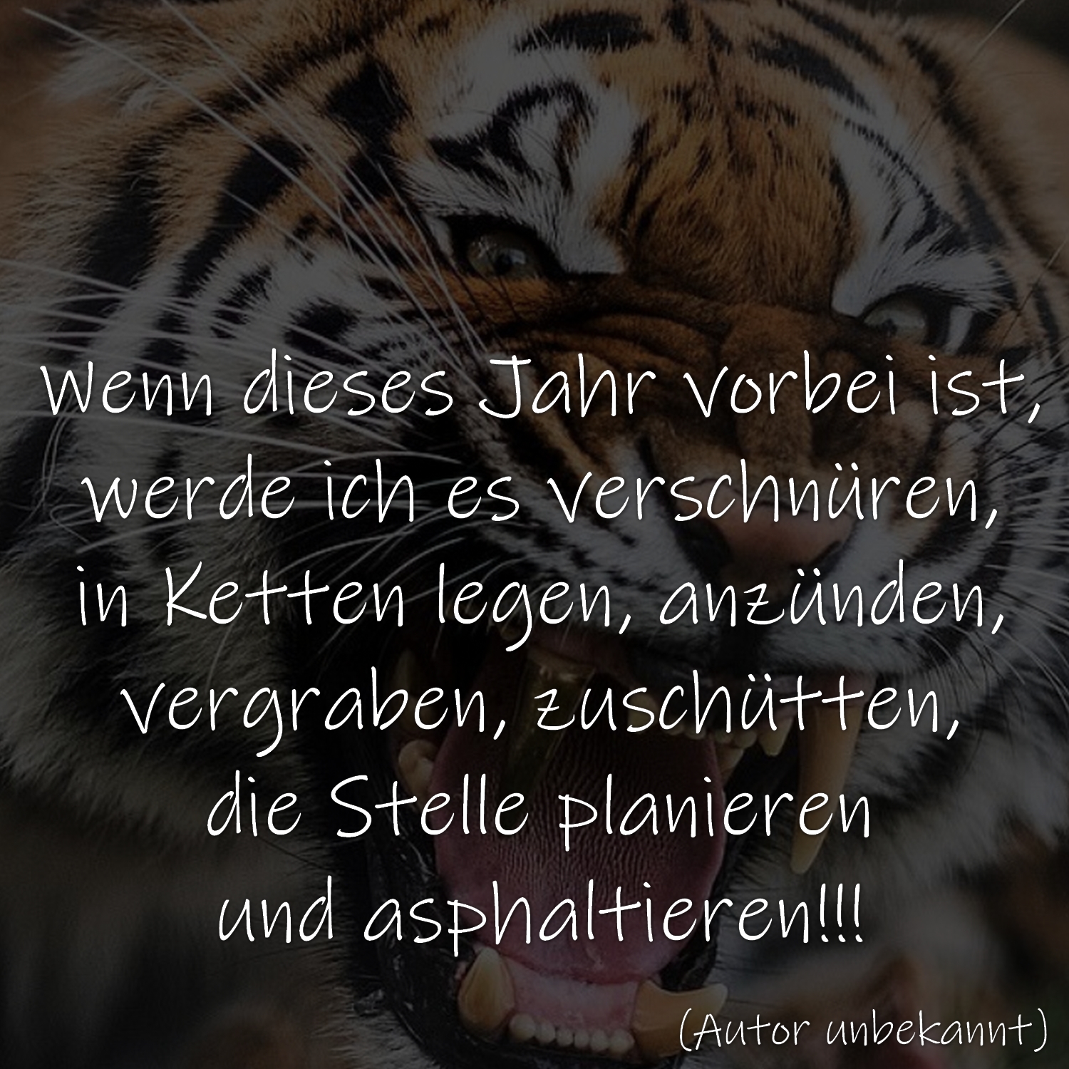 Jahreswechsel Zitate, Sprüche, Gedichte und Texte spruechetante.de
