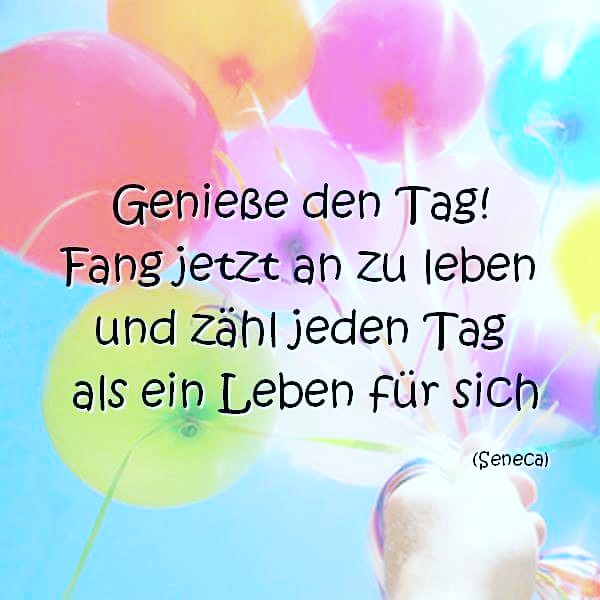 Genieße den Tag! Fang jetzt an zu leben und zähl jeden Tag als ein