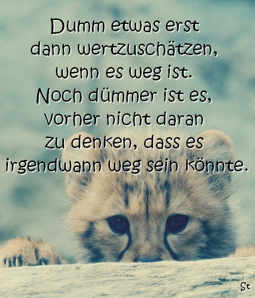 Dumm etwas erst dann wertzuschätzen, wenn es weg ist. Noch dümmer ist es, vorher nicht daran zu denken, dass es irgendwann weg sein könnte.