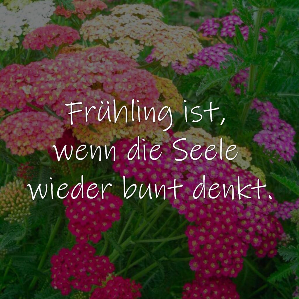 Frühling ist, wenn die Seele wieder bunt denkt.