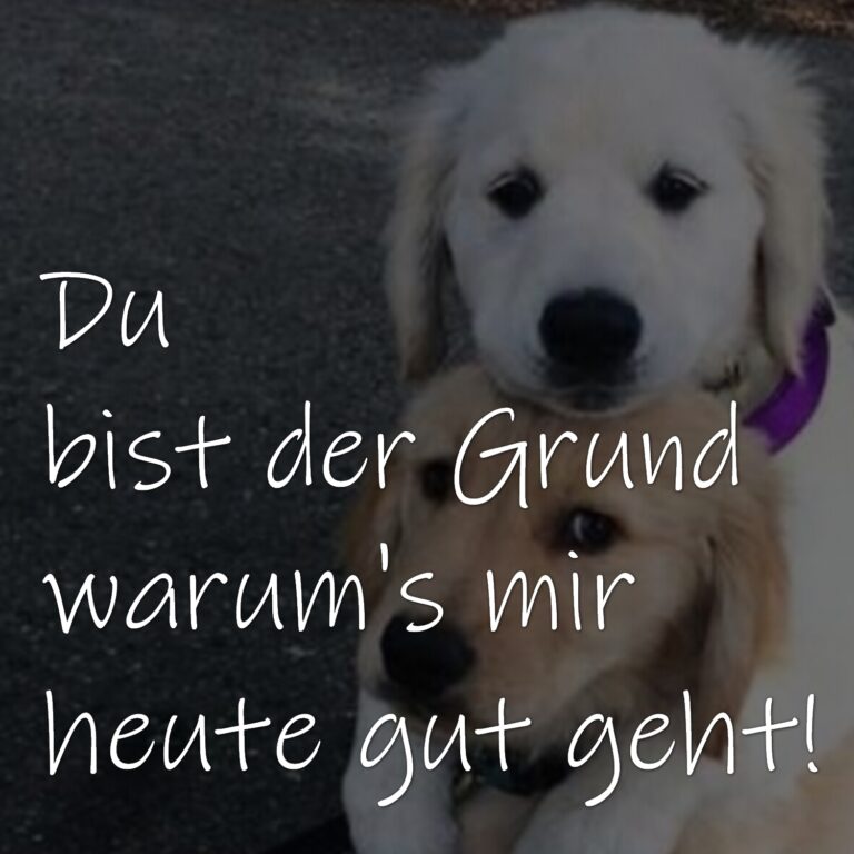 Freundschaft Sprüche, Zitate, lustige Texte, Weisheiten, Sprichwörter