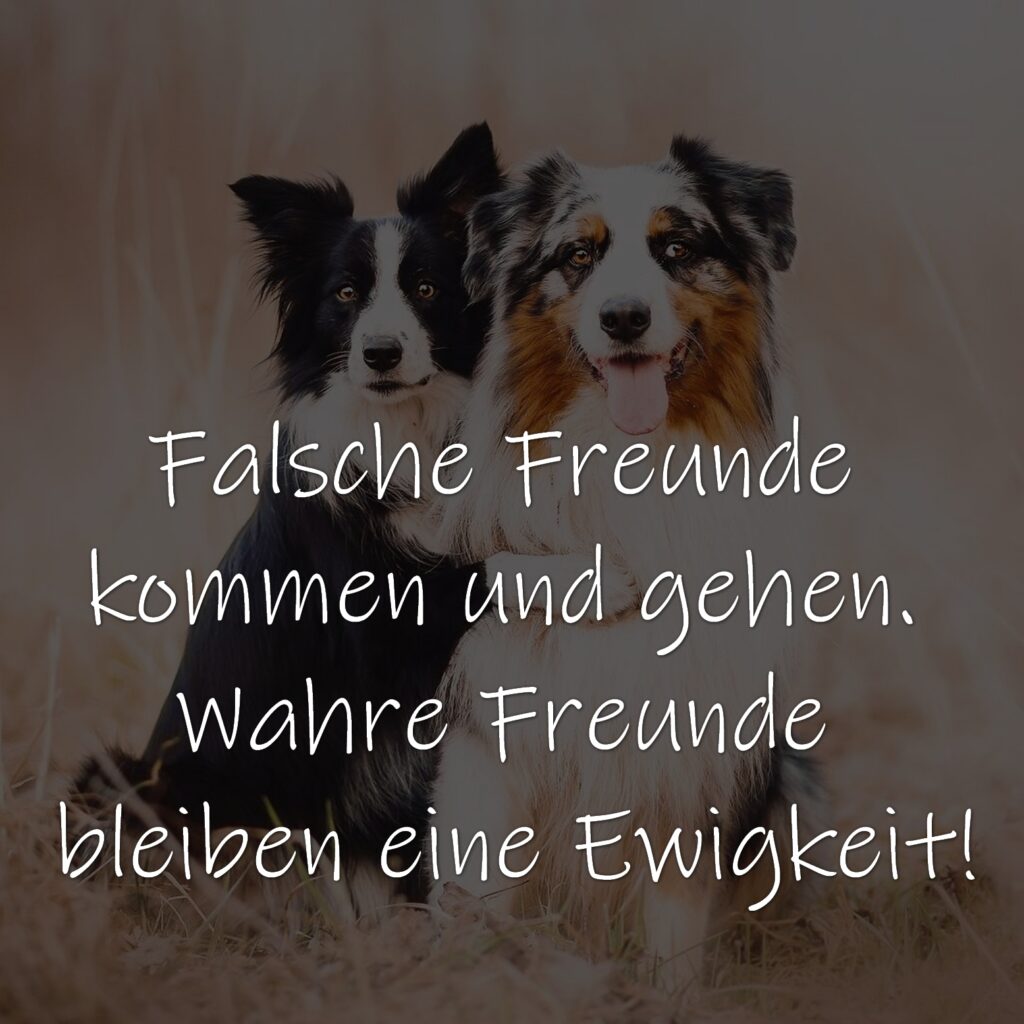 Falsche Freunde kommen und gehen. Wahre Freunde bleiben eine Ewigkeit!