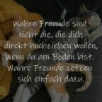 Wahre Freunde sind nicht die, die dich direkt hochziehen wollen, wenn