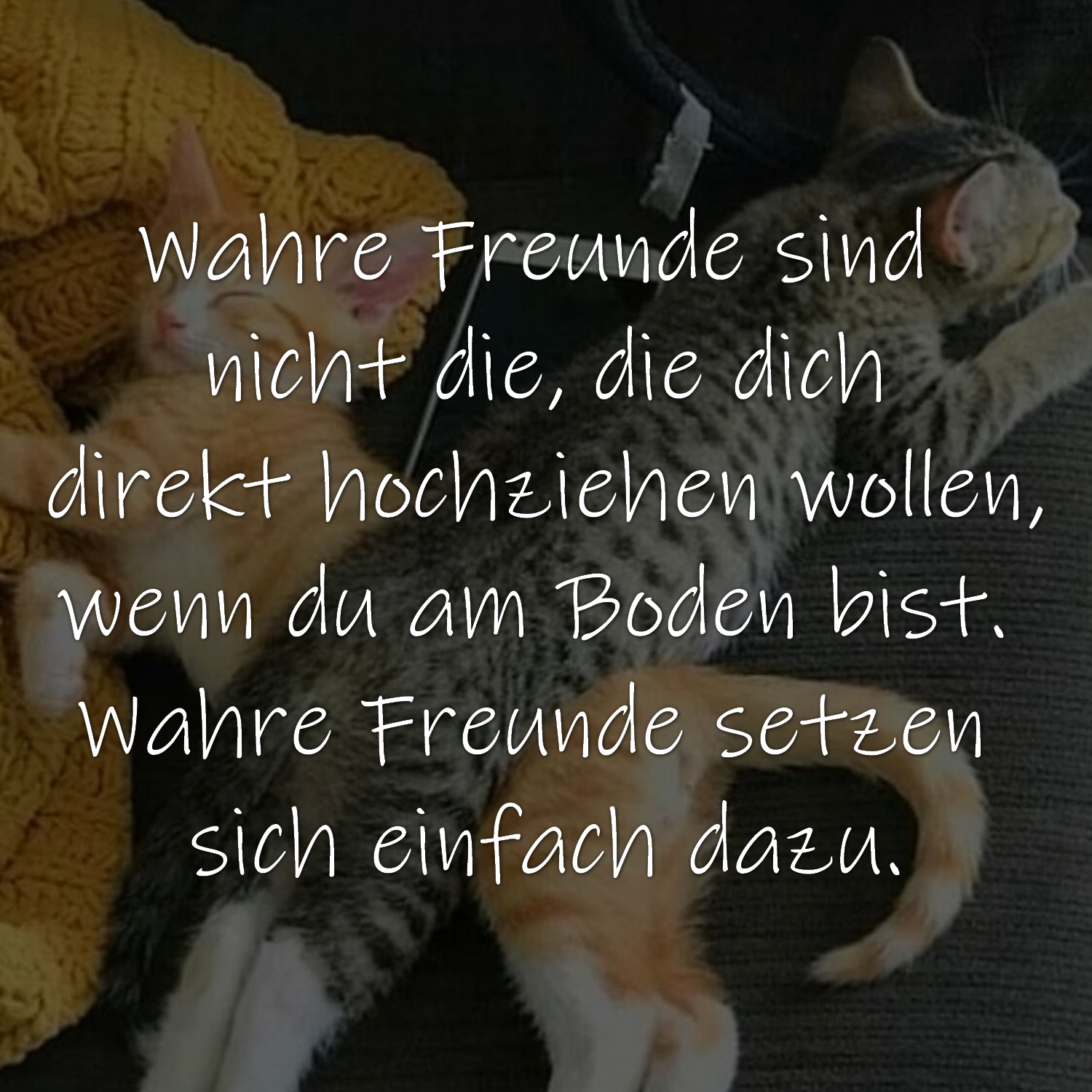 Freundschaft Sprüche, Zitate, lustige Texte, Weisheiten, Sprichwörter