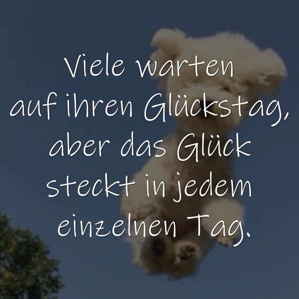 Viele warten auf ihren Glückstag, aber das Glück steckt in jedem einzelnen Tag.