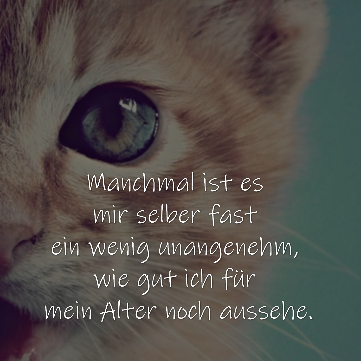 Aussehen Zitate, schöne Sprüche, kurze Gedichte spruechetante.de