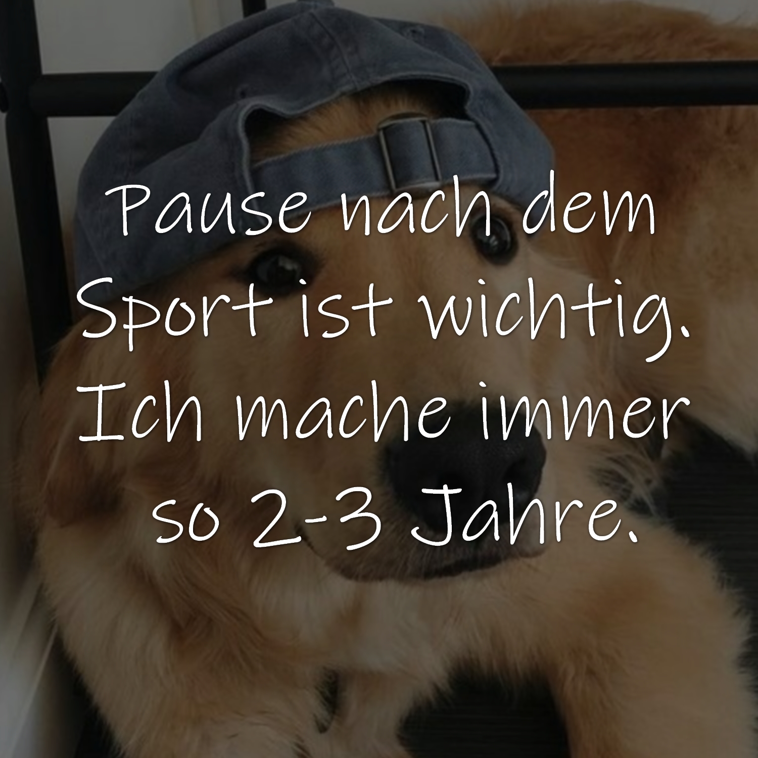 Sport Zitate, Sprichwörter, Sprüche, lustige Sportlerzitate